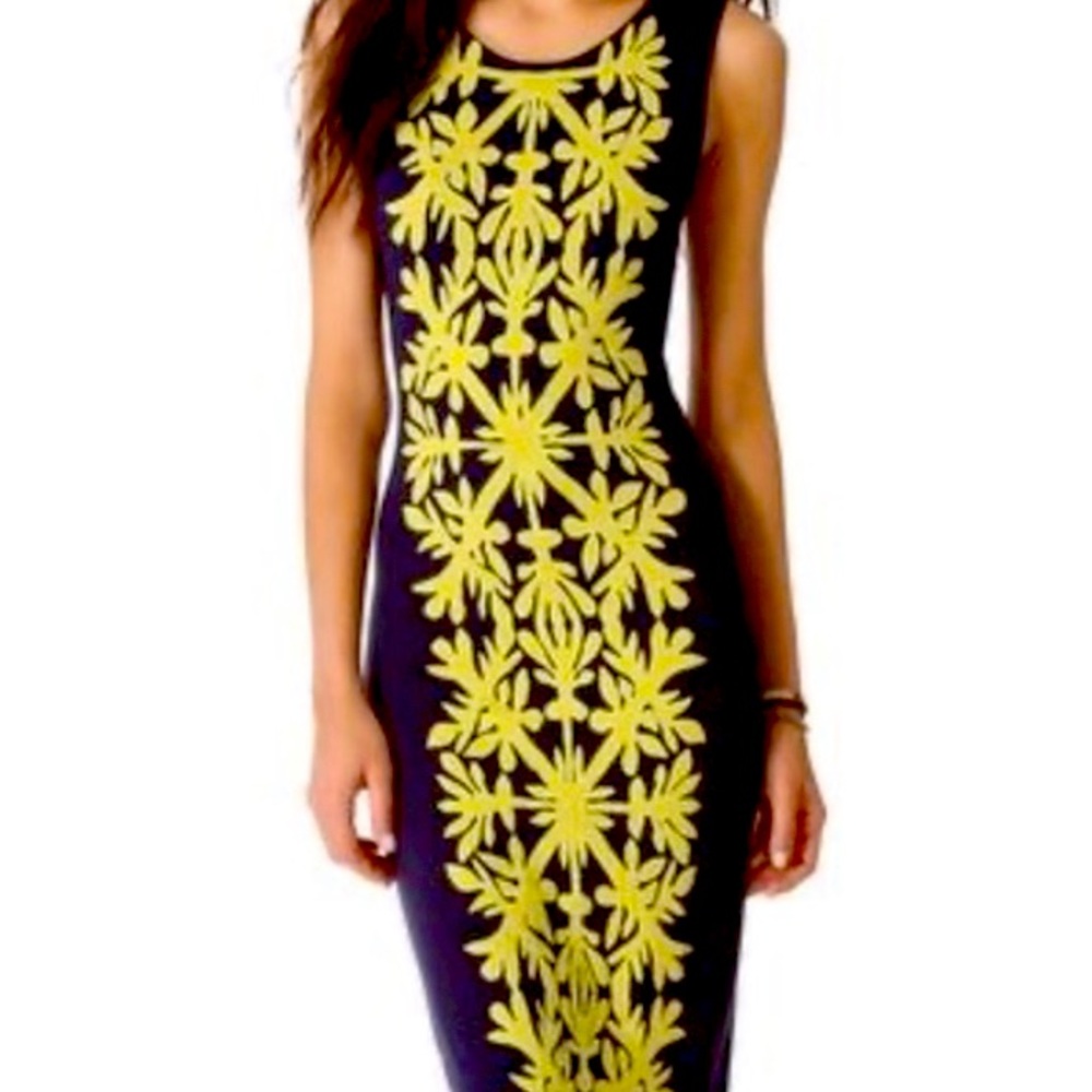 Mara Hoffman HTF Applique Column Dress